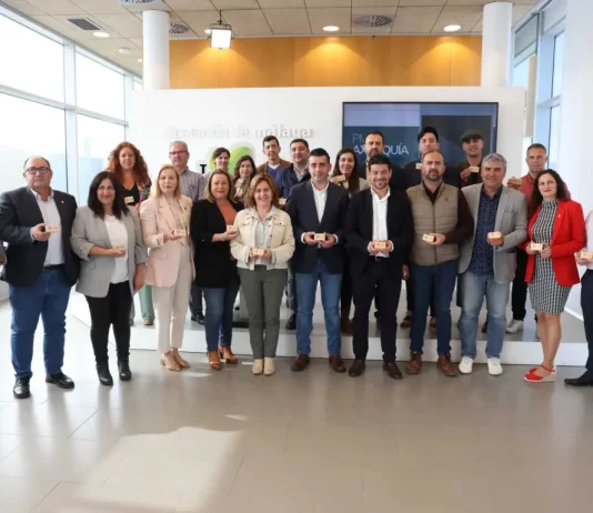 Un estudio de la Diputación analiza los problemas de movilidad en la Axarquía y plantea propuestas para solventarlos Un estudio de la Diputación analiza los problemas de movilidad en la Axarquía y plantea propuestas para solventarlos