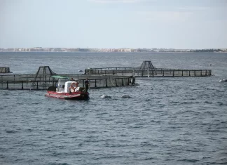 BOJA informa del aumento de 3,8 M€ de presupuesto de las ayudas a la acuicultura marina y continental de Andalucía