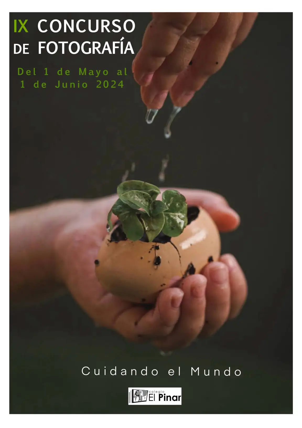 Regresa El Concurso de Fotografía de "El Pinar"