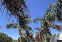 El Encuentro Internacional de Economía Azul reúne a más de 50 expertos en Rincón de la Victoria