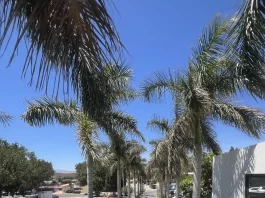 El Encuentro Internacional de Economía Azul reúne a más de 50 expertos en Rincón de la Victoria