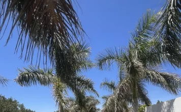 El Encuentro Internacional de Economía Azul reúne a más de 50 expertos en Rincón de la Victoria