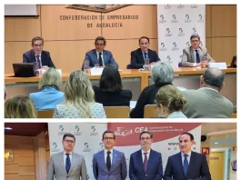 El Gobierno asigna a Andalucía el 1,5% de la nueva inversión en infraestructuras de la red eléctrica