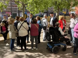 El PSOE pide al Ayuntamiento «más implicación con el estado del arbolado urbano» en la ciudad de Málaga
