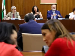 Loles López asegura que la prórroga de los PGE supone 200M€ menos para el sistema de dependencia andaluz