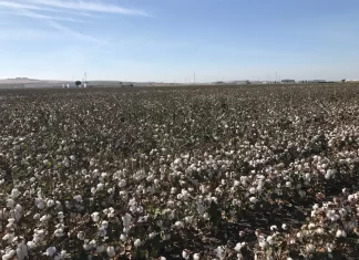 La ampliación de la reducción de módulos del IRPF deja fuera la mayoría de las peticiones de Andalucía
