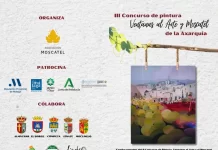 La Diputación colabora un año más con el certamen de pintura destinado a promocionar la pasa moscatel de la Axarquía