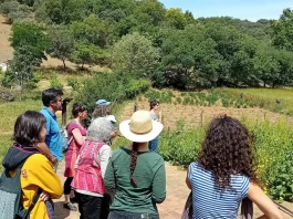 Iniciado el proyecto «Mujeres y jóvenes en la producción ecológica», con 40 acciones formativas