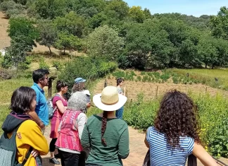 Iniciado el proyecto «Mujeres y jóvenes en la producción ecológica», con 40 acciones formativas