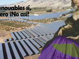 Voto por las renovables