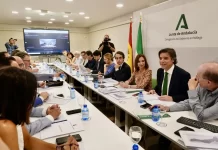 El Plan de Ordenación del Territorio de la Costa del Sol recoge el tren litoral y liberar el peaje de la AP7