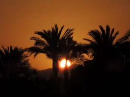 Precauciones para los primeros días de verano en Málaga: Cómo protegerse del calor y los rayos UV