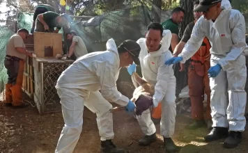 La Junta inicia un plan de acción para el control sanitario en la reserva de Ojén