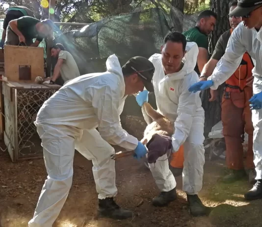 La Junta inicia un plan de acción para el control sanitario en la reserva de Ojén
