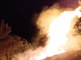 La Junta activa la fase de Preemergencia del Plan Infoca por un incendio forestal en Casares