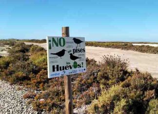 Chapó a la cadena de Punta Entinas