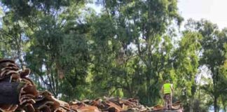 La Junta revalida la certificación en gestión forestal sostenible en 60.433 hectáreas de monte público