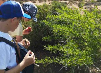 Alegría por el Premio Educaciudad