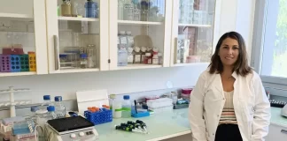 Investigadores de IBIMA Plataforma BIONAND y la UMA descubren mecanismos implicados en la regeneración de arterias coronarias tras sufrir un infarto