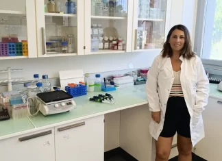 Investigadores de IBIMA Plataforma BIONAND y la UMA descubren mecanismos implicados en la regeneración de arterias coronarias tras sufrir un infarto