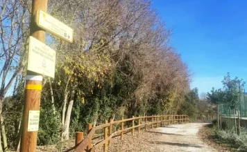 La Diputación promueve un proyecto europeo para diseñar nuevas actuaciones del Corredor Verde del Guadalhorce La Diputación promueve un proyecto europeo para diseñar nuevas actuaciones del Corredor Verde del Guadalhorce