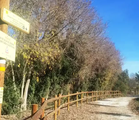 La Junta saca a licitación por 1,3 millones de euros la construcción de la pasarela ciclopeatonal de Coín La Diputación promueve un proyecto europeo para diseñar nuevas actuaciones del Corredor Verde del Guadalhorce