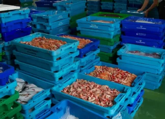 Las lonjas andaluzas comercializan 22.535 toneladas de productos frescos el primer semestre de 2024