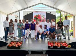 Cata Concurso Subasta Tomate Huevo de Toro de Coin 2024 Cata Concurso Subasta Tomate Huevo de Toro de Coin 2024