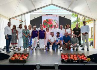 Cata Concurso Subasta Tomate Huevo de Toro de Coin 2024