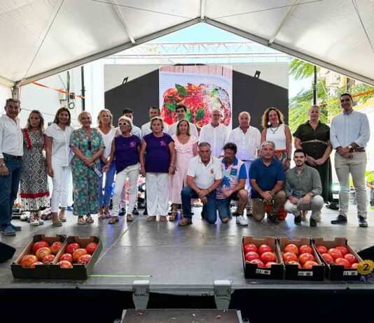 Cata Concurso Subasta Tomate Huevo de Toro de Coin 2024 Cata Concurso Subasta Tomate Huevo de Toro de Coin 2024
