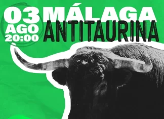 PACMA celebra este sábado su manifestación anual «Málaga Antitaurina»