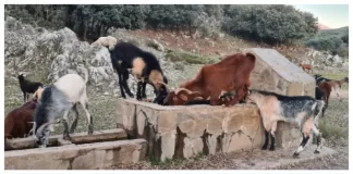 Datos sobre la Directiva de Hábitats, el Centro de Recepción de Conejeras y la ZEC