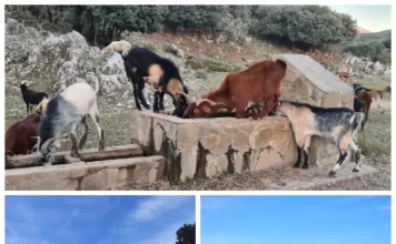 Datos sobre la Directiva de Hábitats, el Centro de Recepción de Conejeras y la ZEC