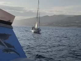 El diosa Maat y las rosas en el mar El diosa Maat y las rosas en el mar Por Moisés S. Palmero Aranda, Educador ambiental