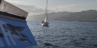 El diosa Maat y las rosas en el mar Por Moisés S. Palmero Aranda, Educador ambiental