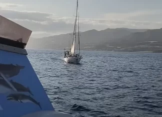 El diosa Maat y las rosas en el mar Por Moisés S. Palmero Aranda, Educador ambiental