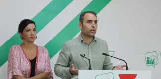 IU reclama que se dé “carpetazo” a la “operación especulativa” de la torre del puerto