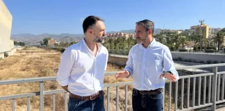 El PSOE muestra su preocupación ante la inacción de la Junta con los mosquitos que transmiten el virus del Nilo