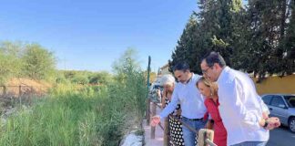 El PSOE exige a Ayuntamiento y Junta “acciones contundentes” contra el mosquito que transmite el virus del Nilo