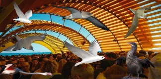 Otro festival, atropello y pelotazo por Moisés S. Palmero Aranda, Educador ambiental