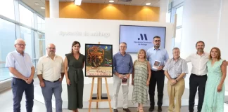 XXIX Concurso Tradicional de Verdiales de Benagalbón