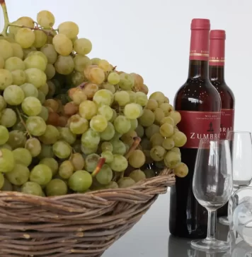 Moclinejo celebra una nueva edición de su Fiesta de Viñeros, un homenaje a la pasa y a la tradición agrícola de la Axarquía