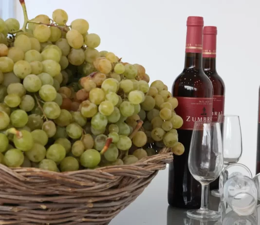Moclinejo celebra una nueva edición de su Fiesta de Viñeros, un homenaje a la pasa y a la tradición agrícola de la Axarquía