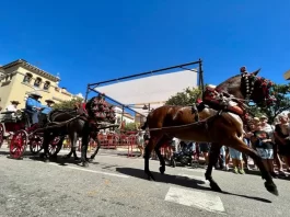 PACMA pide cancelar «Fuengirola a Caballo» tras el desplome de uno este martes PACMA pide cancelar "Fuengirola a Caballo" tras el desplome de uno este martes
