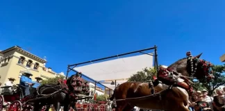 PACMA pide cancelar "Fuengirola a Caballo" tras el desplome de uno este martes