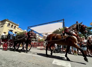 PACMA pide cancelar "Fuengirola a Caballo" tras el desplome de uno este martes