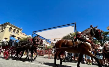 PACMA pide cancelar «Fuengirola a Caballo» tras el desplome de uno este martes PACMA pide cancelar "Fuengirola a Caballo" tras el desplome de uno este martes