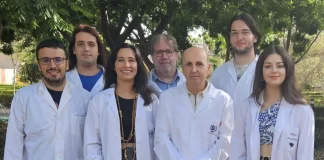 Investigadores de IBIMA Plataforma BIONAND y la UMA avanzan en la terapia celular para el tratamiento de la hidrocefalia poshemorrágica en neonatos