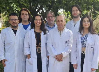 Investigadores de IBIMA Plataforma BIONAND y la UMA avanzan en la terapia celular para el tratamiento de la hidrocefalia poshemorrágica en neonatos