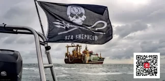 Libertad para Paul Watson por Moisés S. Palmero Aranda, Educador ambienta